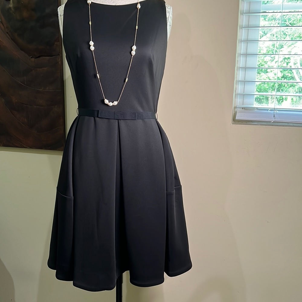 Very nice black dress with pleated bottom. pockets. stretchy ribbon belt